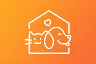 Теперь домашние!