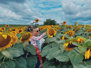 Рукодельные эпизоды ‘24