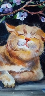 Всё о кошках.