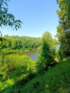 прогулки с куклой