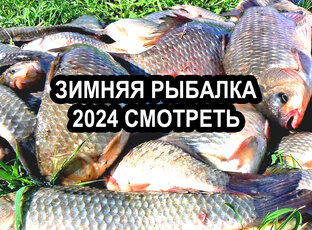 ЗИМНЯЯ РЫБАЛКА 2023-2024