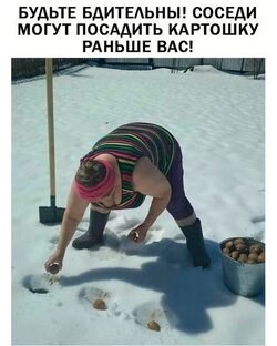 Голь на выдумки хитра!