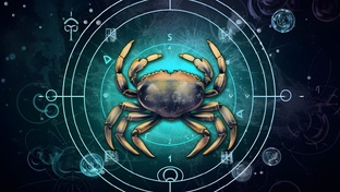 Совместимости раков