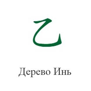Дерево Инь