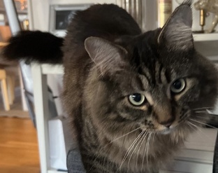 Детям до 3 лет 