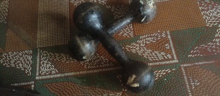 100 дней спорта