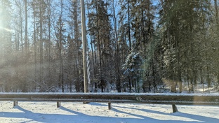 Дача..Сезон 2025