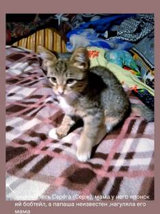 Сержик, а попросту Серега