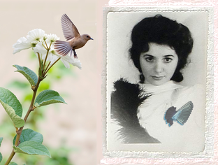 Звезда моя, Анна!