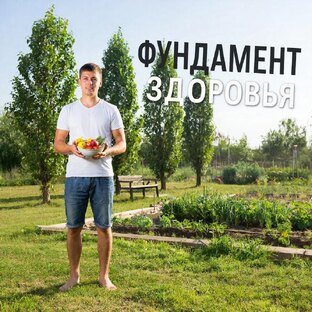 Фундамент здоровья 