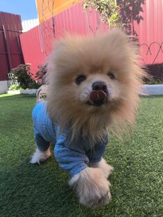 Ден на каникулах 