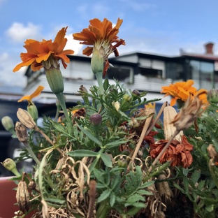 Тактильная Москва