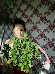 Каланхоэ 