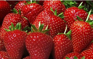 Клубника🍓🍓🍓🍓🍓🍓🍓🍓🍓🍓🍓🍓🍓🍓🍓