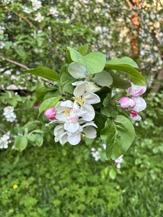 Приметы лета