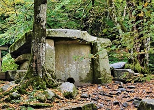 Соседний регион