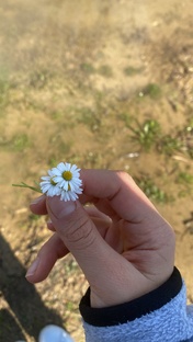 Милые пожелания