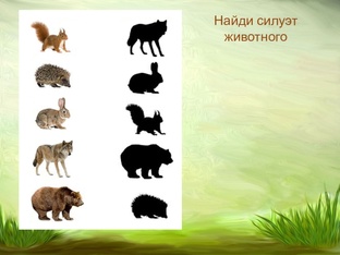 ДИДАКТИЧЕСКИЙ МАТЕРИАЛ ДЛЯ ПЕЧАТИ.