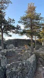 Лен область