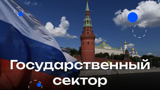 Государственный сектор