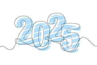 Проекты СО НКО 2025