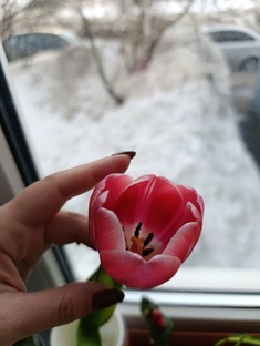 Дачные дела
