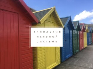 Типология нервной системы в педагогике