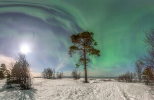 Зима в поэзии, живописи, фотографиях