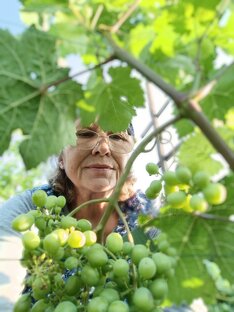 Виноград  растёт в Сибири.
