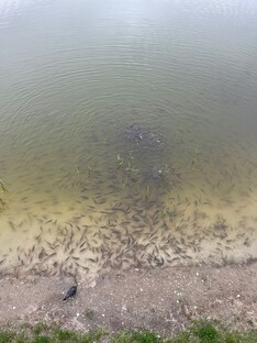 Деревенские красоты и отдых на природе.