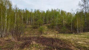 Прогулки на природе