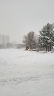 Зимние прогулки