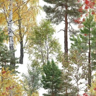 ДЕНДРОЛОГИЯ - Деревья и кустарники