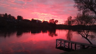 АВТОРСКИЕ ВИДЕО РАЗНОЕ 