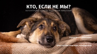 Кто, если не мы?