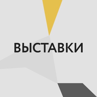 Выставки💡