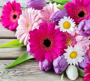 Цветы, растения, кусты и деревья