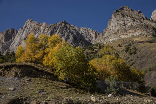 Золото осени