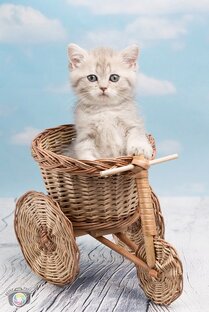 Народные художественные промыслы и ремесла Чувашии