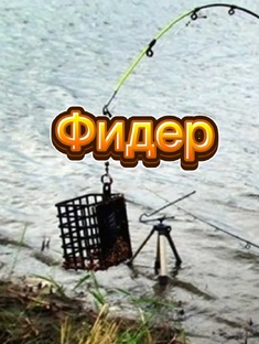 Фидер