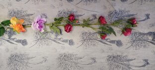 житейские истории