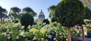 Санкт-Петербург