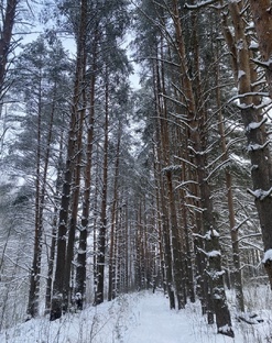 Отдых и прогулки