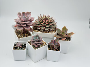 Распаковка