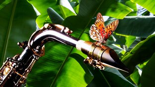 Саксофон музыка для души