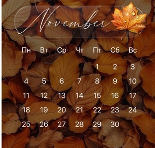 РЕКОМЕНДАЦИИ НА НОЯБРЬ 2024 года.