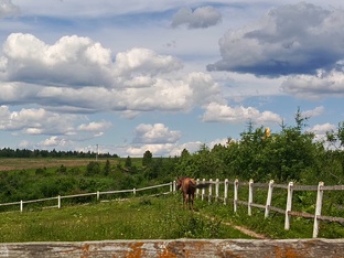 Жизнь за МКАД