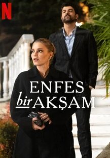 Восхитительный вечер (Enfes Bir Akşam)