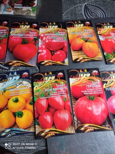 Сад, огород 2025.