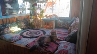 Строим домик